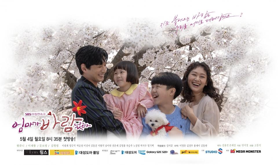【レンタル落ち】 シンデレラも恋していいですか ? DVD 全40巻 韓国ドラマ Amazon.co.jp: 憎くても愛してる [レンタル落ち] 全40巻セット