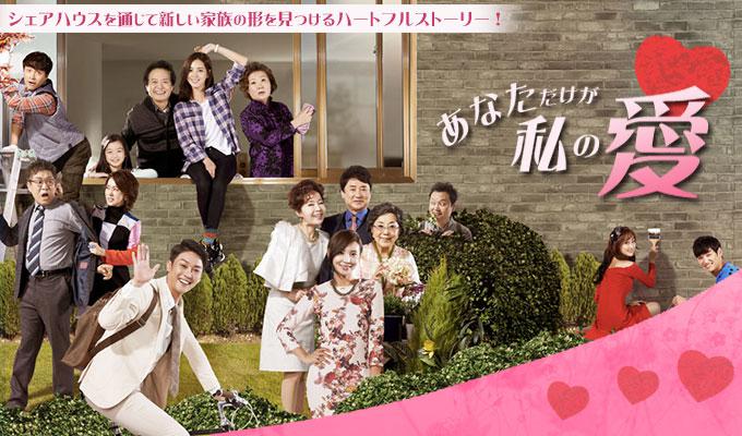 Amazon.co.jp: DVD韓国ドラマ/私だけのあなた 第20巻～第31