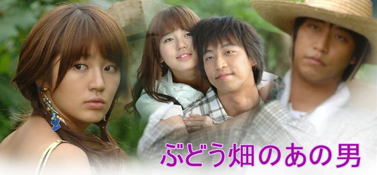 韓国ドラマ「ぶどう畑のあの男」DVD-BOX 韓国ドラマ ぶどう畑のあの男